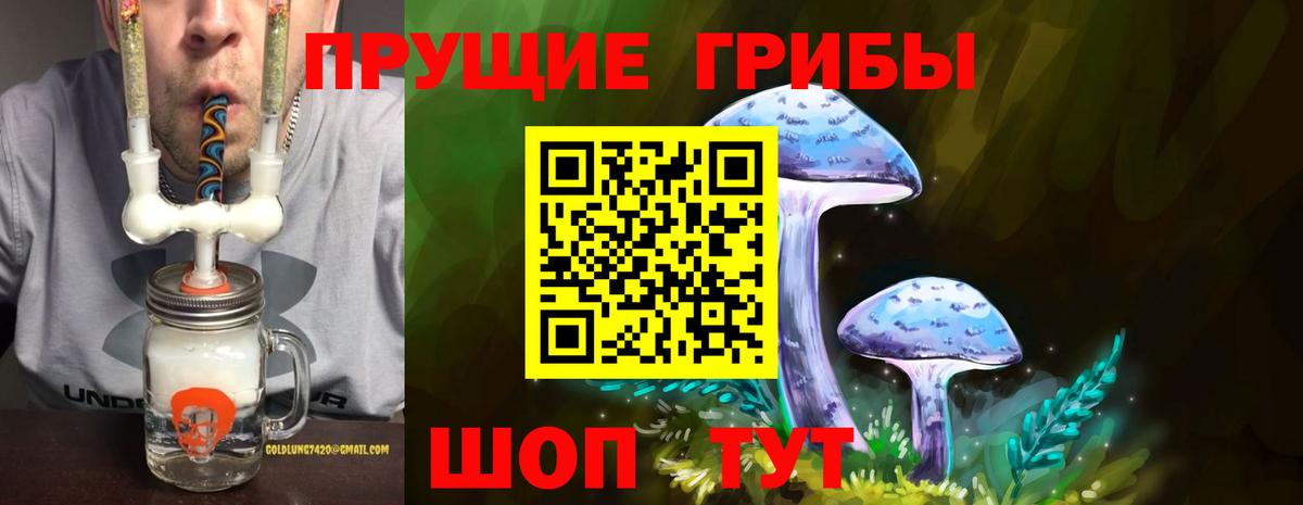 Галлюциногенные грибы Psilocybine cubensis  Вход с VPN  Галлюциногенные грибы GOLDEN TEACHER  магазин продажи   Саранск 