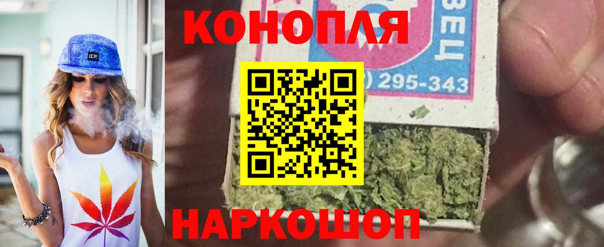 Бошки марихуана конопля Саранск